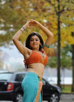Hansika Latest  Gallery